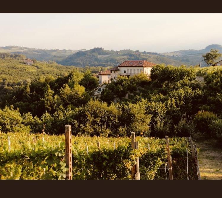 Madama Langa Country House Con Piscina Nelle Vigne Montelupo Albese Exterior foto